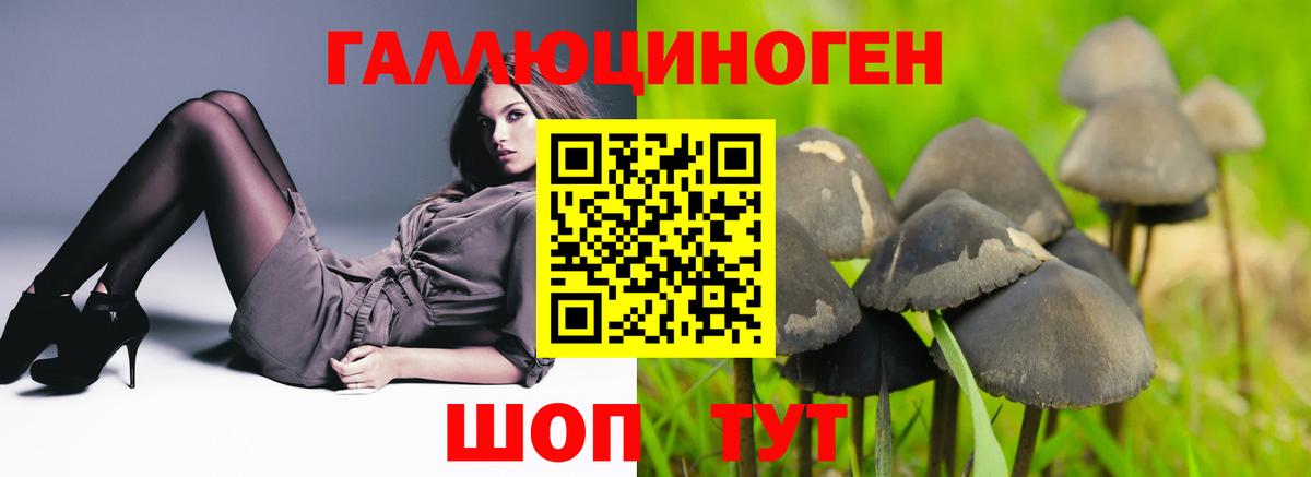 Галлюциногенные грибы Cubensis  Вход с VPN  Тельмана 